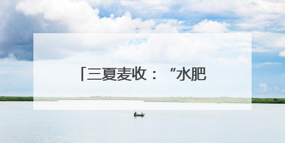 三夏麦收：“水肥还田”助力河南农民“减投增产”