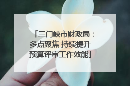 三门峡市财政局：多点聚焦 持续提升预算评审工作效能
