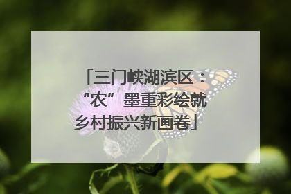 三门峡湖滨区：“农”墨重彩绘就乡村振兴新画卷