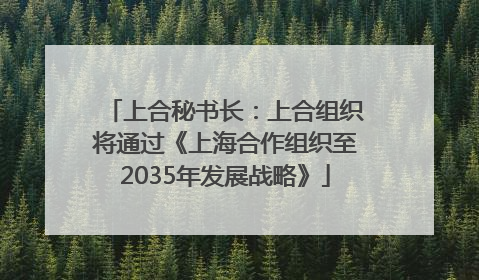 上合秘书长：上合组织将通过《上海合作组织至2035年发展战略》