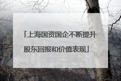 上海国资国企不断提升股东回报和价值表现