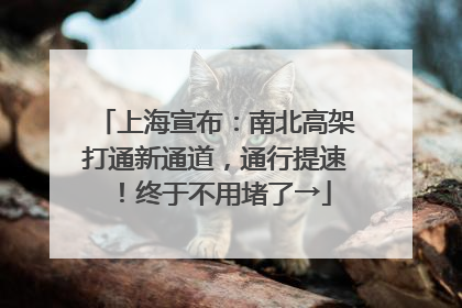 上海宣布：南北高架打通新通道，通行提速！终于不用堵了→