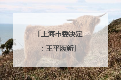 上海市委决定：王平履新