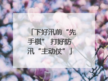 下好汛前“先手棋” 打好防汛“主动仗”