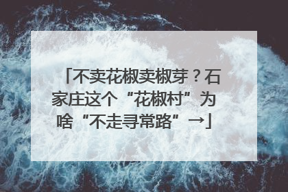 不卖花椒卖椒芽？石家庄这个“花椒村”为啥“不走寻常路”→