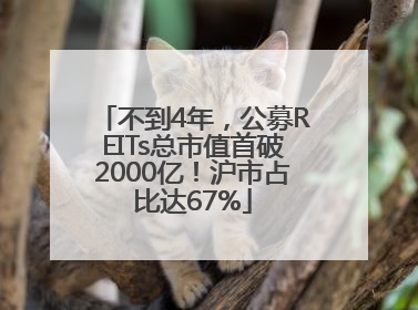 不到4年，公募REITs总市值首破2000亿！沪市占比达67%