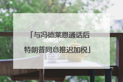 与冯德莱恩通话后 特朗普同意推迟加税
