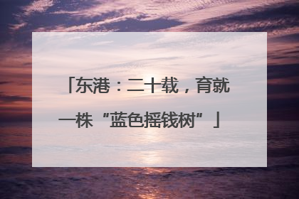 东港：二十载，育就一株“蓝色摇钱树”