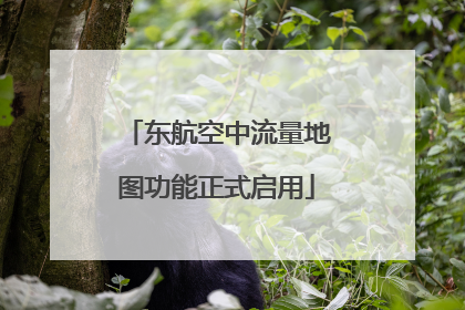 东航空中流量地图功能正式启用