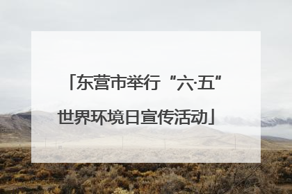 东营市举行“六·五”世界环境日宣传活动