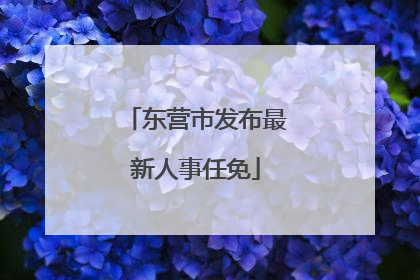 东营市发布最新人事任免