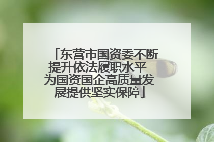 东营市国资委不断提升依法履职水平 为国资国企高质量发展提供坚实保障