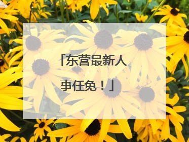 东营最新人事任免！