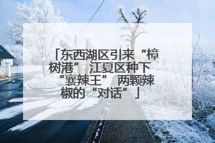 东西湖区引来“樟树港” 江夏区种下“襄辣王” 两颗辣椒的“对话”