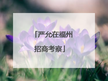 严允在福州招商考察