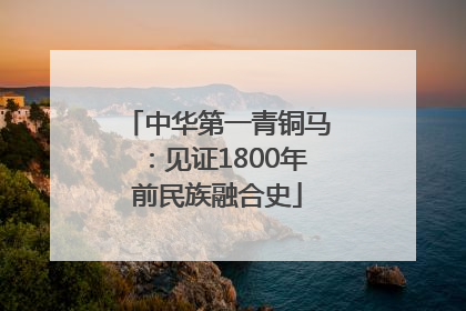 中华第一青铜马：见证1800年前民族融合史