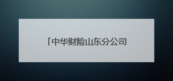 中华财险山东分公司全省联动开展防范非法金融活动专题宣传