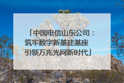 中国电信山东公司：筑牢数字新基建基座 引领万兆光网新时代