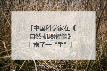 中国科学家在《自然·机器智能》上露了一“手”