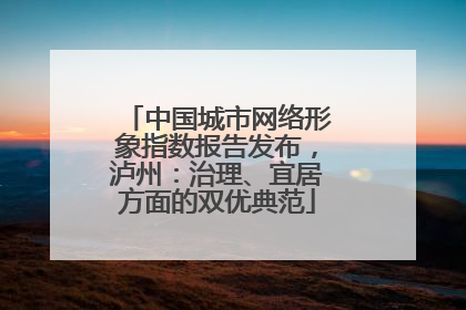 中国城市网络形象指数报告发布，泸州：治理、宜居方面的双优典范