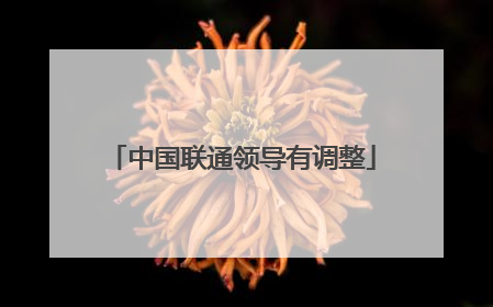 中国联通领导有调整