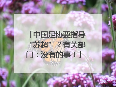 中国足协要指导“苏超”？有关部门：没有的事！