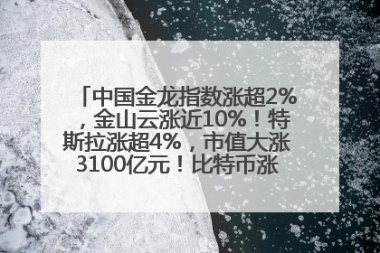 中国金龙指数涨超2%，金山云涨近10%！特斯拉涨超4%，市值大涨3100亿元！比特币涨回11万美元关口