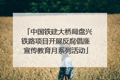 中国铁建大桥局盘兴铁路项目开展反腐倡廉宣传教育月系列活动