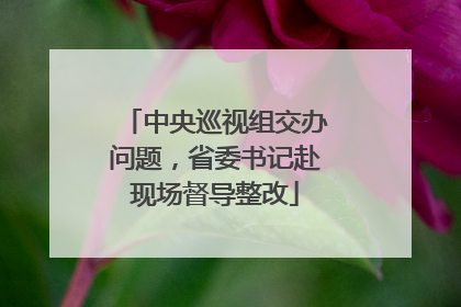 中央巡视组交办问题，省委书记赴现场督导整改
