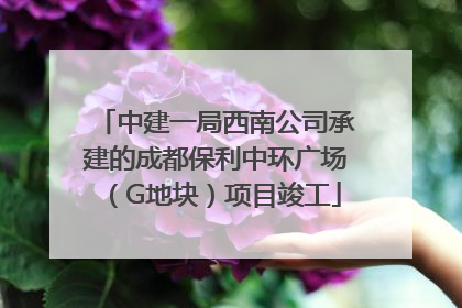 中建一局西南公司承建的成都保利中环广场（G地块）项目竣工