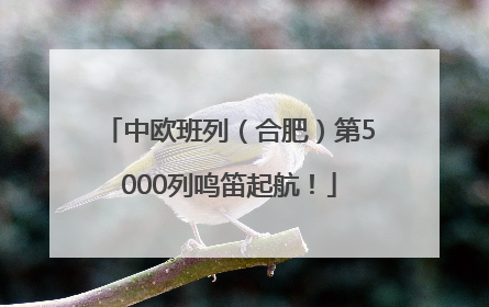 中欧班列（合肥）第5000列鸣笛起航！