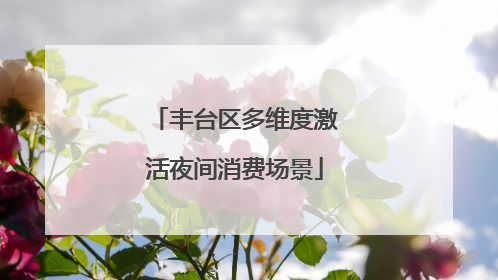 丰台区多维度激活夜间消费场景