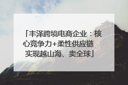 丰泽跨境电商企业：核心竞争力+柔性供应链 实现越山海、卖全球