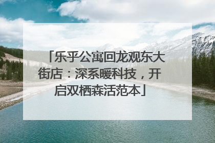 乐乎公寓回龙观东大街店：深系暖科技，开启双栖森活范本