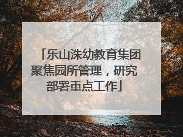 乐山洙幼教育集团聚焦园所管理，研究部署重点工作