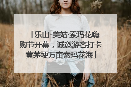 乐山-美姑·索玛花嗨购节开幕，诚邀游客打卡黄茅埂万亩索玛花海