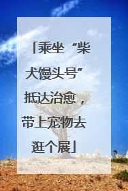 乘坐“柴犬馒头号”抵达治愈，带上宠物去逛个展