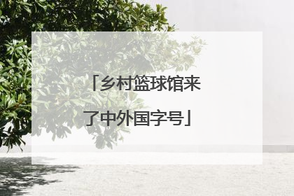乡村篮球馆来了中外国字号