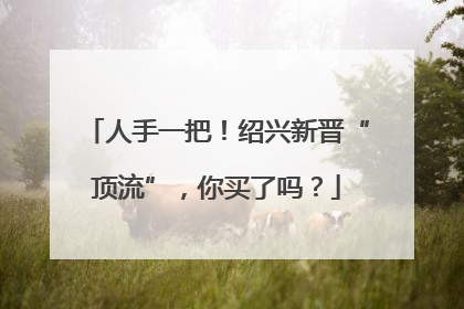 人手一把！绍兴新晋“顶流”，你买了吗？