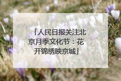 人民日报关注北京月季文化节：花开锦绣映京城