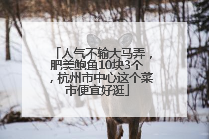 人气不输大马弄，肥美鲍鱼10块3个，杭州市中心这个菜市便宜好逛