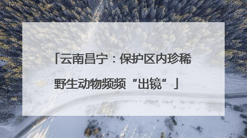 云南昌宁：保护区内珍稀野生动物频频“出镜”