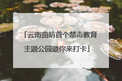 云南曲靖首个禁毒教育主题公园邀你来打卡