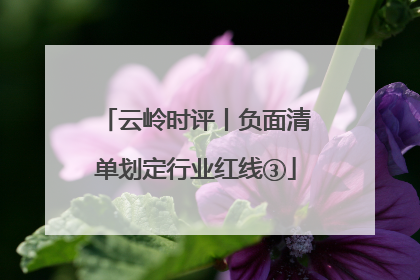 云岭时评丨负面清单划定行业红线③