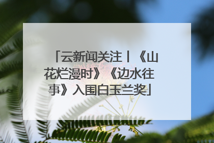 云新闻关注丨《山花烂漫时》《边水往事》入围白玉兰奖