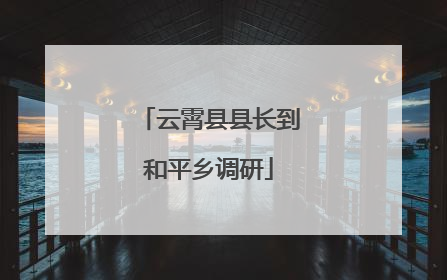 云霄县县长到和平乡调研