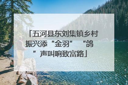 五河县东刘集镇乡村振兴添“金羽” “鸽”声叫响致富路