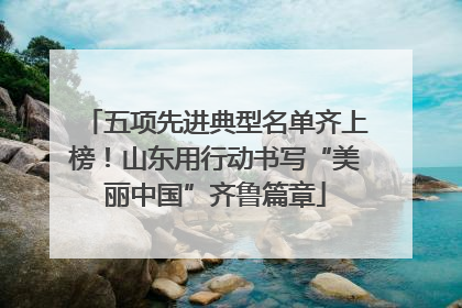 五项先进典型名单齐上榜！山东用行动书写“美丽中国”齐鲁篇章