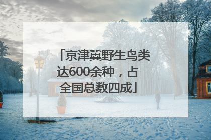 京津冀野生鸟类达600余种，占全国总数四成