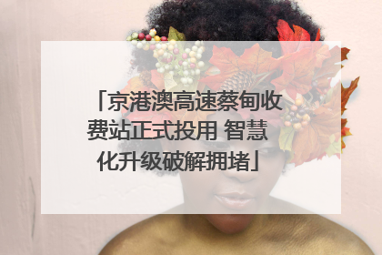 京港澳高速蔡甸收费站正式投用 智慧化升级破解拥堵